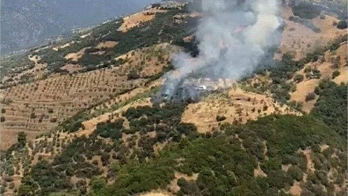 Aydın'da zeytinlik yangını: Müdahale sürüyor