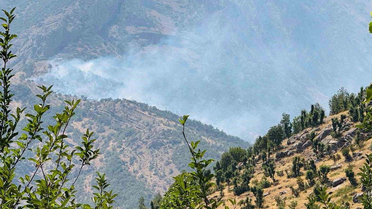 Şırnak'ta orman yangını