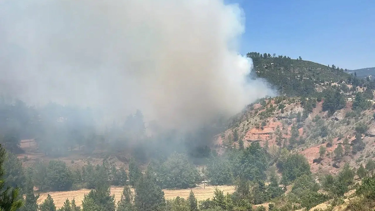 Denizli'de orman yangını