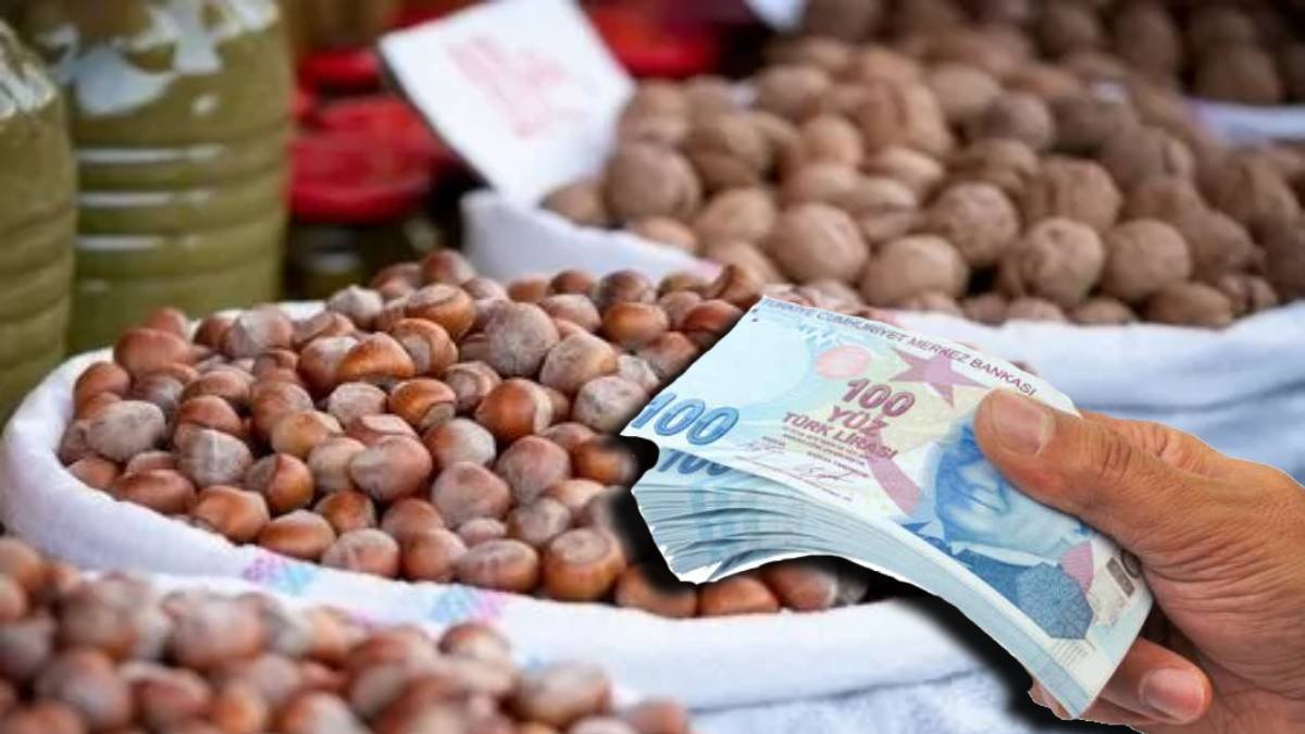 Fındık üreticisine müjde: TMO'dan beklenen alım fiyatı açıklandı: İşte o rakam...