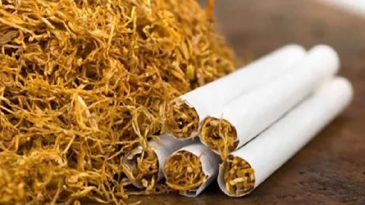 Resmi Gazete’de yayımlandı: Tütün mamullerinde yeni kurallar