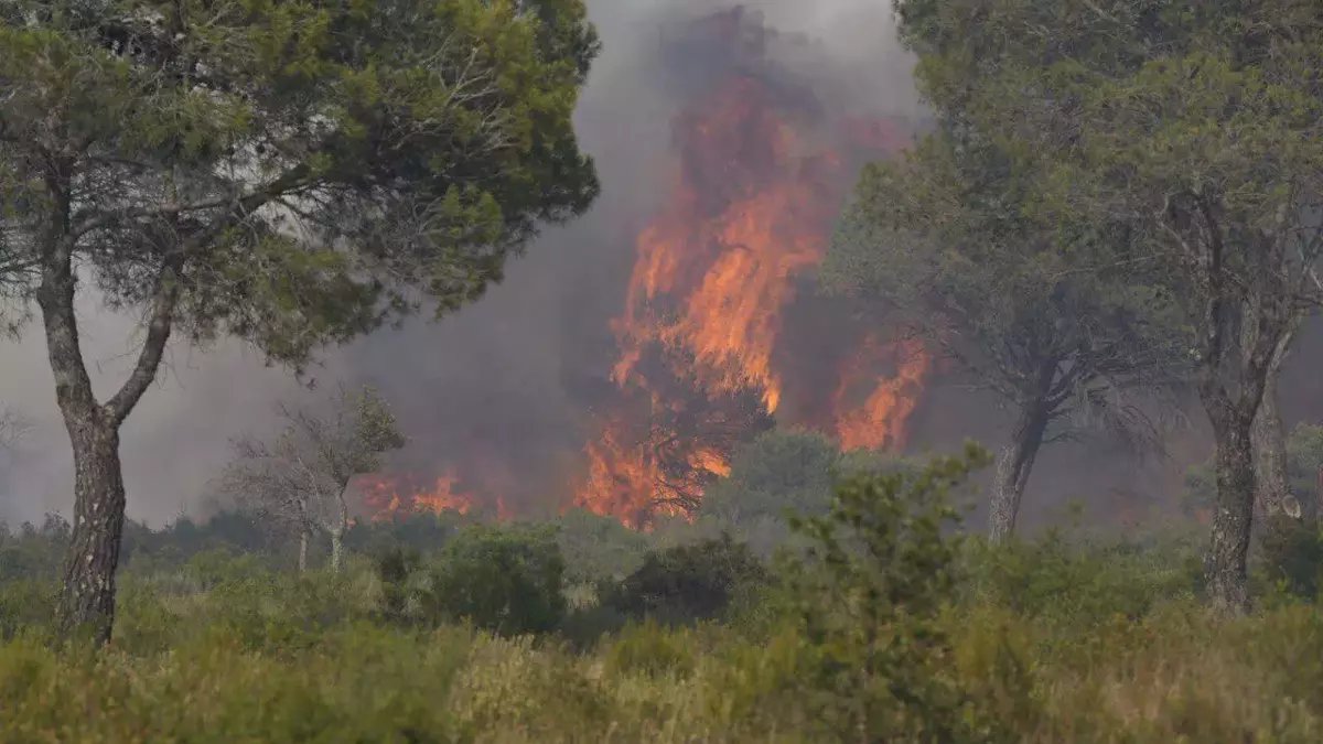 Fransa'da orman yangını: 13 bin hektar kül oldu