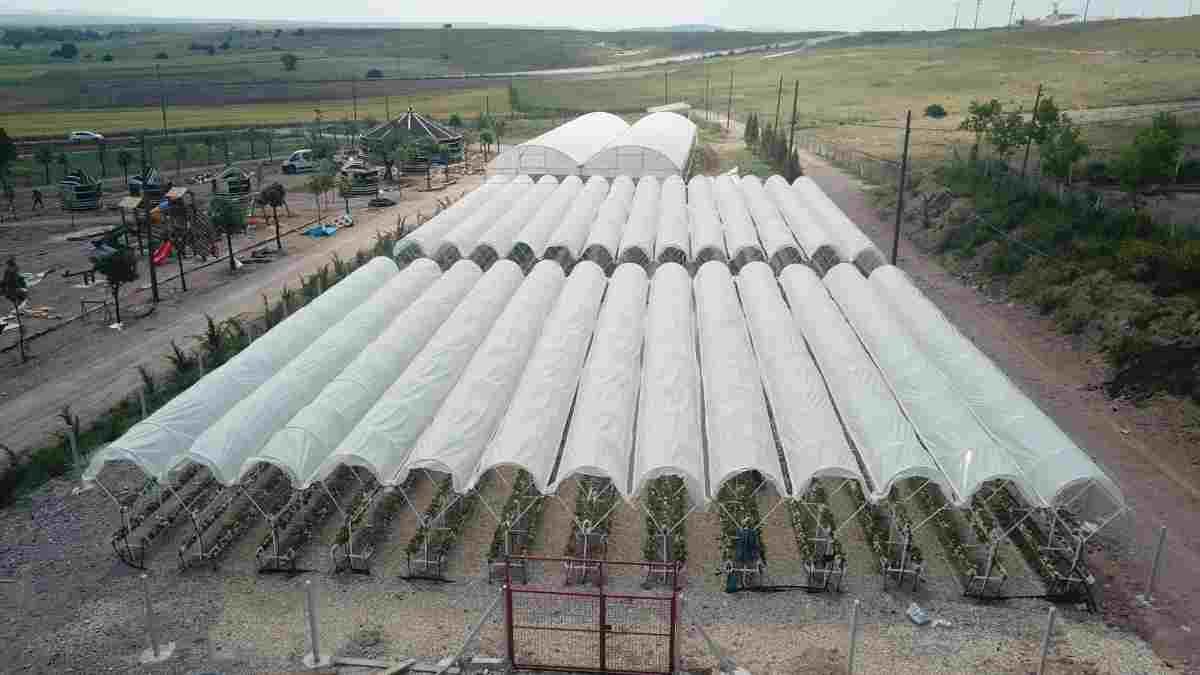 Taşlık Çiftlik Köy Doğa Yaz Okulu kayıtları açıldı