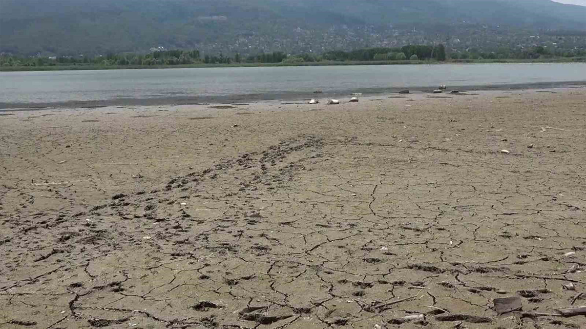 Kocaeli'de su krizi kapıda: Barajlar ve göller alarm veriyor