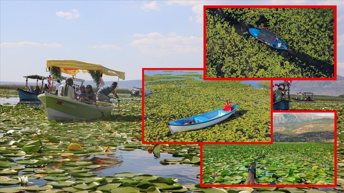 Nilüferler açar açmaz ziyaretçi akınına uğruyor! Doğal güzelliği ve aktiviteleriyle dikkat çekiyor: Denizli’nin saklı cenneti