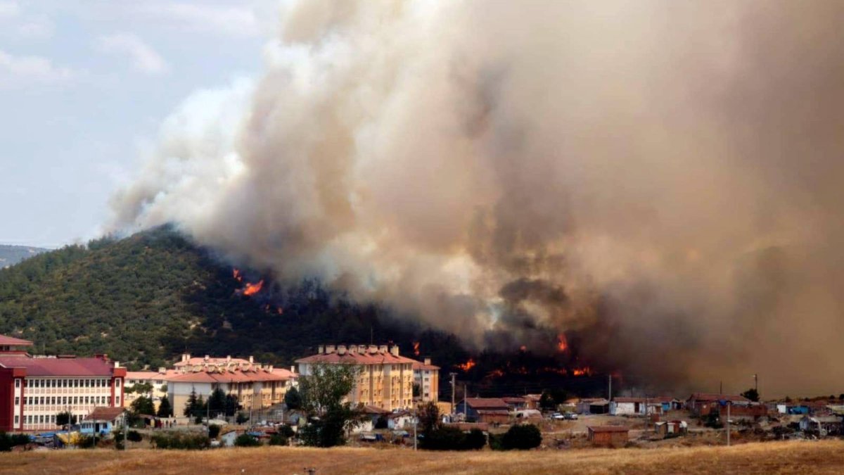 Edirne'de makilikte çıkan yangın, tarlaya sıçradı