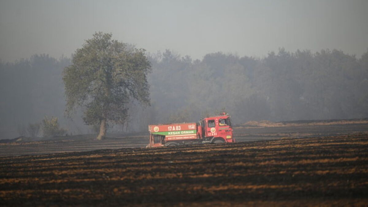 Edirne'deki orman yangını yağmurun başlamasıyla kontrol altında