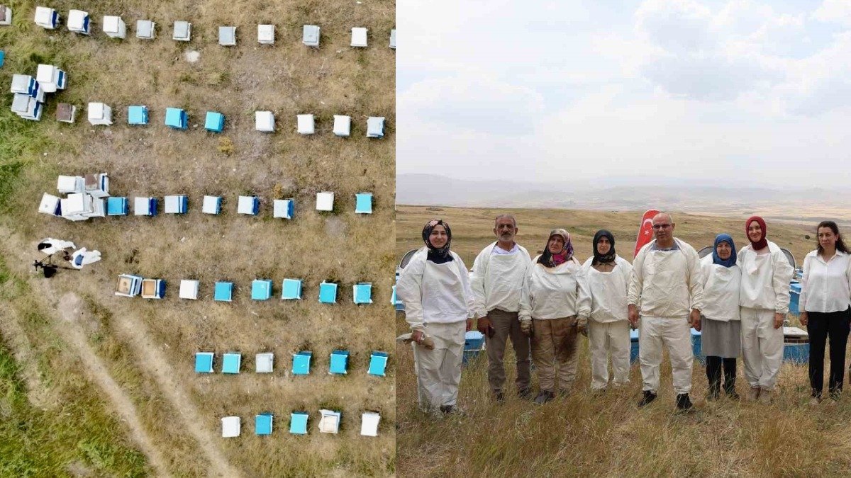 Ağrı'dan dünyaya açılan lezzet: Kadın arıcılar Geven balı üretiyor, valilik destek veriyor