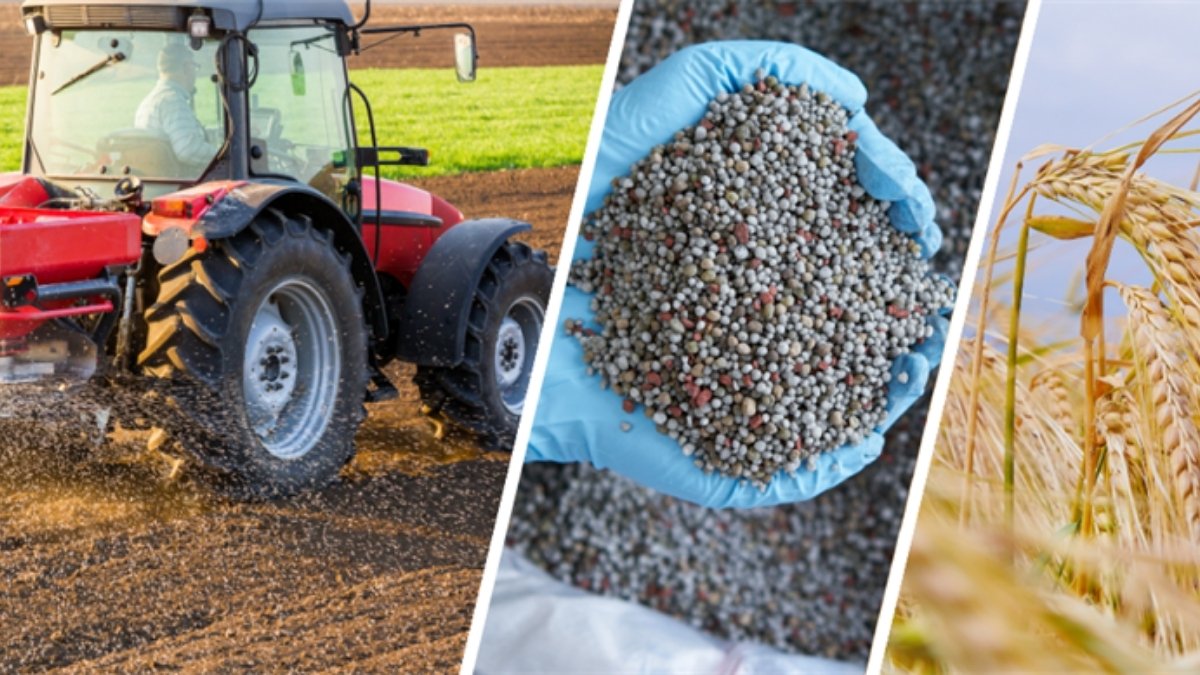 Tarımda çiftçiye destek projeleri devam ediyor! Konya’da yenisi başladı: Gelir kapısı oldu, talep yağıyor