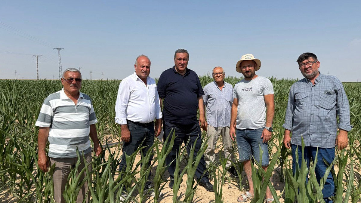 Kuraklık köyleri vuruyor: İçme suyu dahi bulunamaz hale geldi