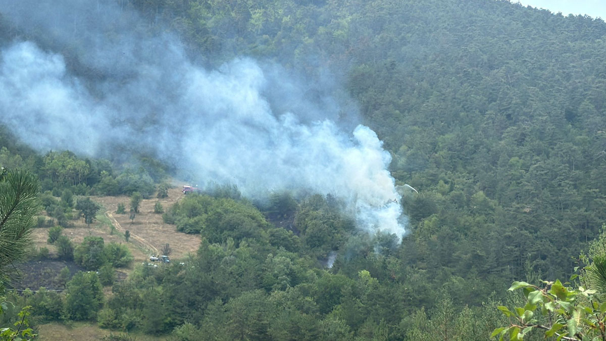 Bolu'da orman yangını