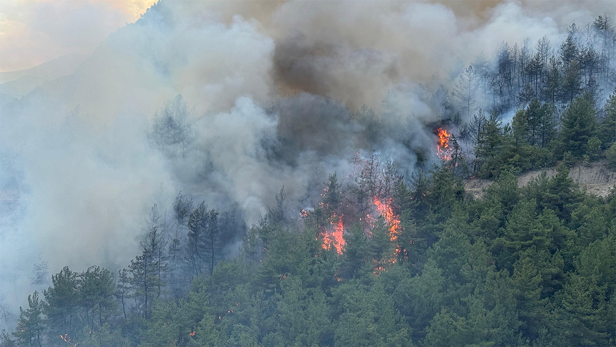 Karabük'te yangın yeniden başladı! 1 köy boşaltıldı