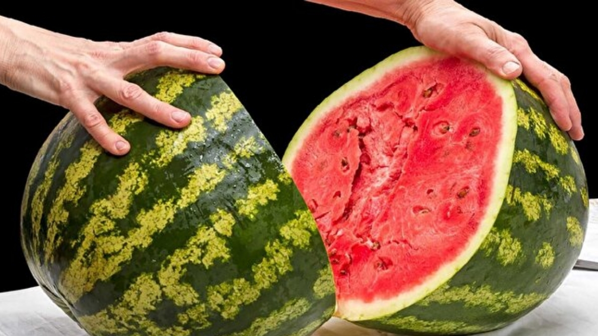 Manavlar saklıyor, ustalar biliyor: Sulu karpuzun sırrı meğer bu küçücük detaymış! Alırken buna dikkat edin
