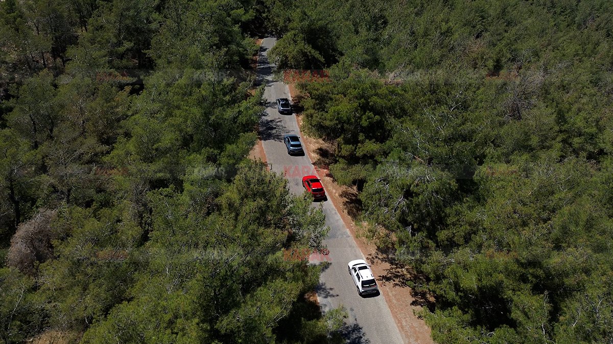 Hyundai'den 1 milyon ağaçlık dev proje: Cannes'dan 3 ödülle döndü!