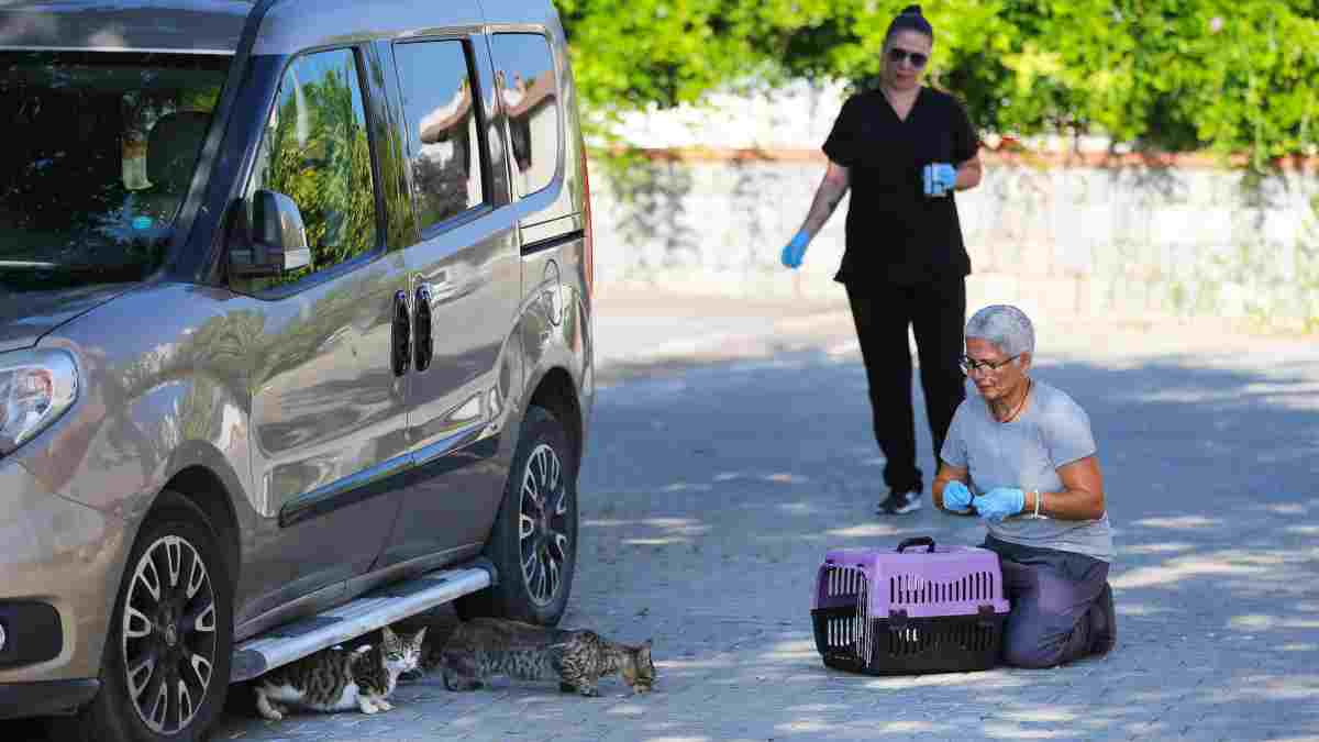 Narlıdere Belediyesinden minik dostlar için seferberlik