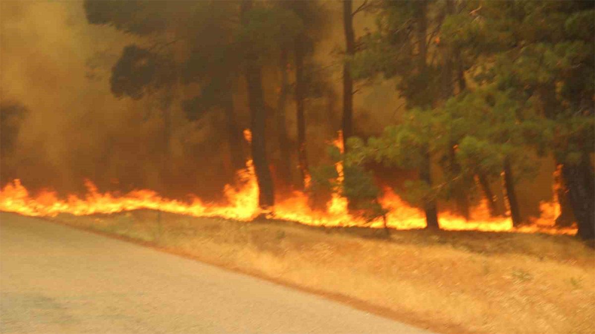 Çanakkale alev alev! 3 köy ve üniversite kampüsü boşaltıldı, Boğaz ve havalimanı kapatıldı!