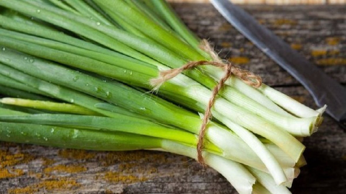 Günde sadece 1 dal taze soğan yiyerek hayatınızı değiştirebilirsiniz! İşte o müthiş faydalar