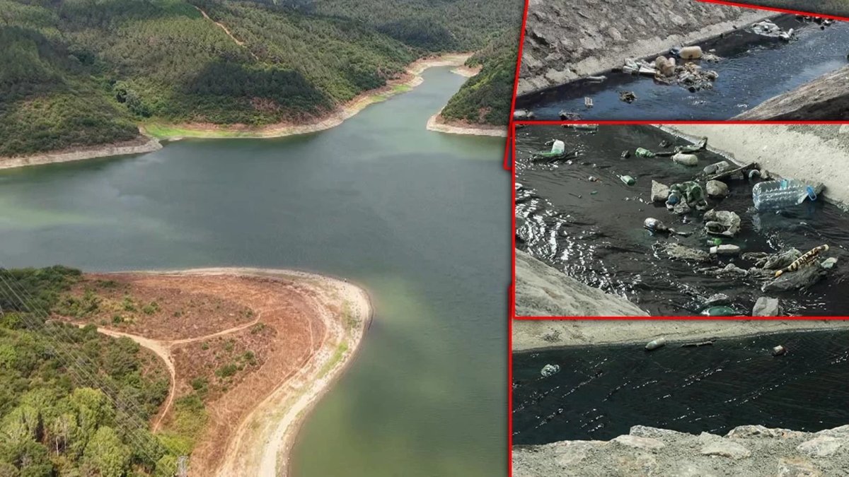 İstanbul'un içme suyundaki tehlike: Maviye dönen dere baraja akıyor