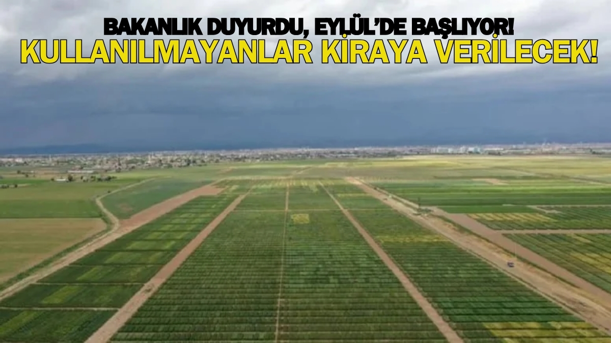 Eylül’de başlıyor! Bakanlık duyurusunu yapmıştı: Kullanılmayanlar tüm tarlalar kiraya verilecek