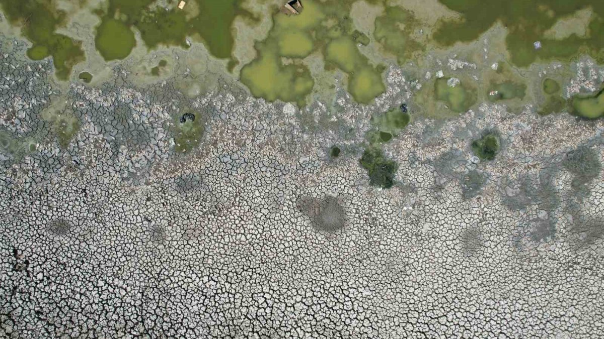 Bir zamanların gözde piknik alanıydı şimdi yanına yaklaşılmıyor! Ankara'da ekolojik felaket: Gölet kurudu, balıklar öldü