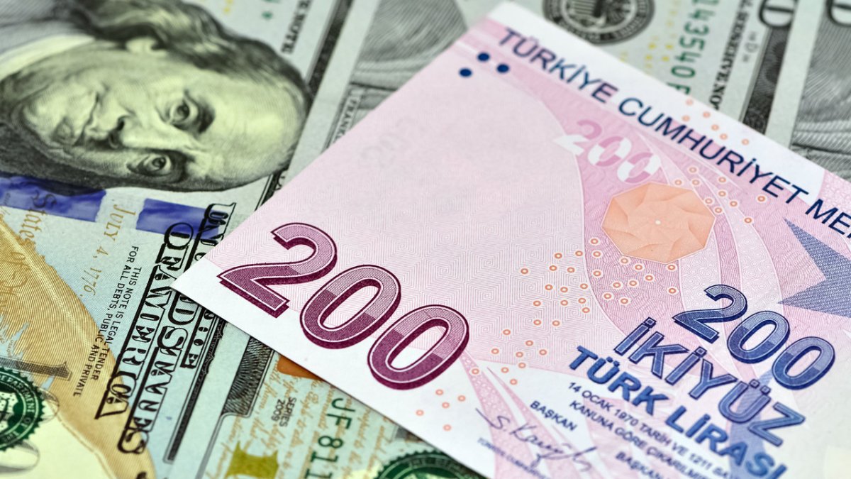 Merkez Bankası rezervlerinde tarihi zirve