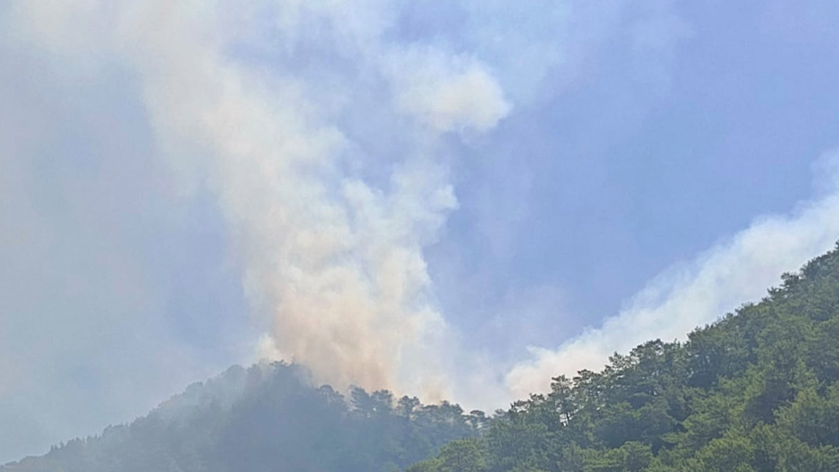 Mersin'de orman yangını