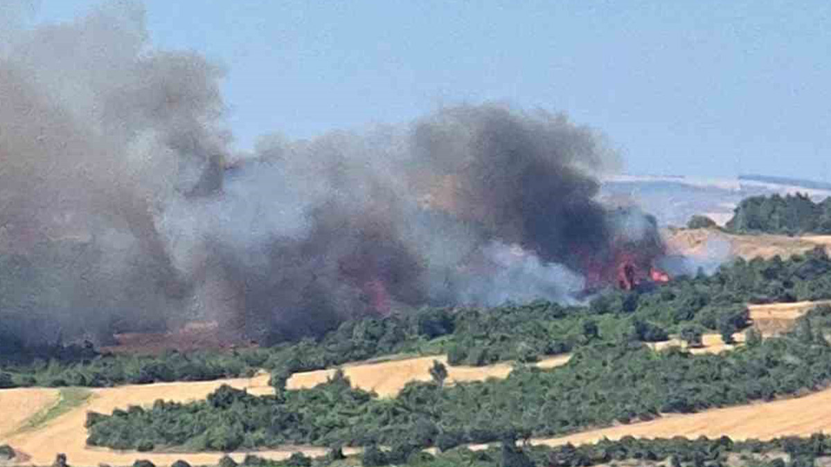 Çanakkale'de bir yangın daha başladı
