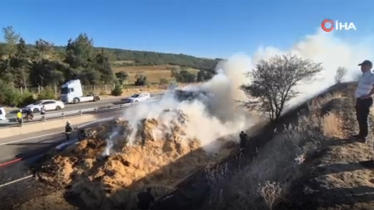 Tekirdağ'da LPG'li araçtan çıkan yangın paniğe neden oldu: Tarlalar ve tır dorsesi yandı