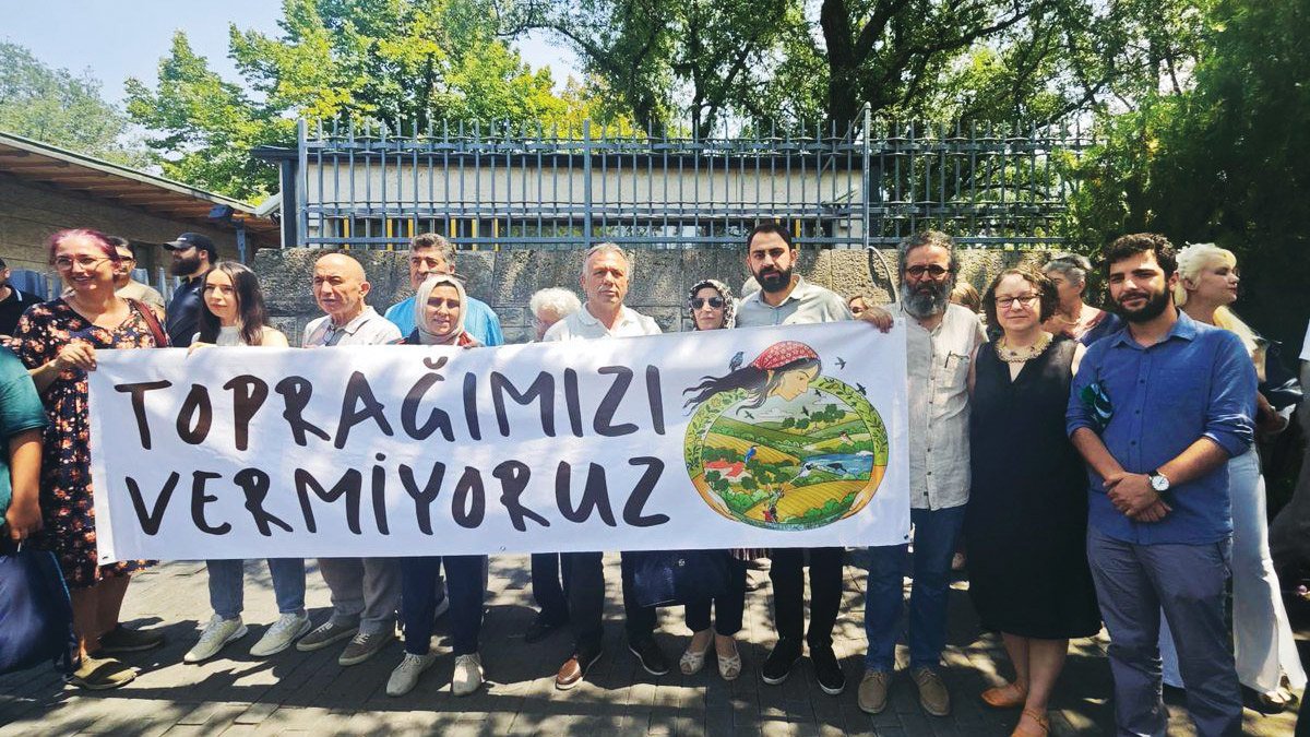 Cennet yeşiline kömür karası