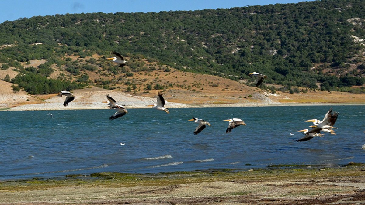 Burası Romanya değil, Türkiye! Manzarası hayran bıraktı: Yüzlercesi akın etti