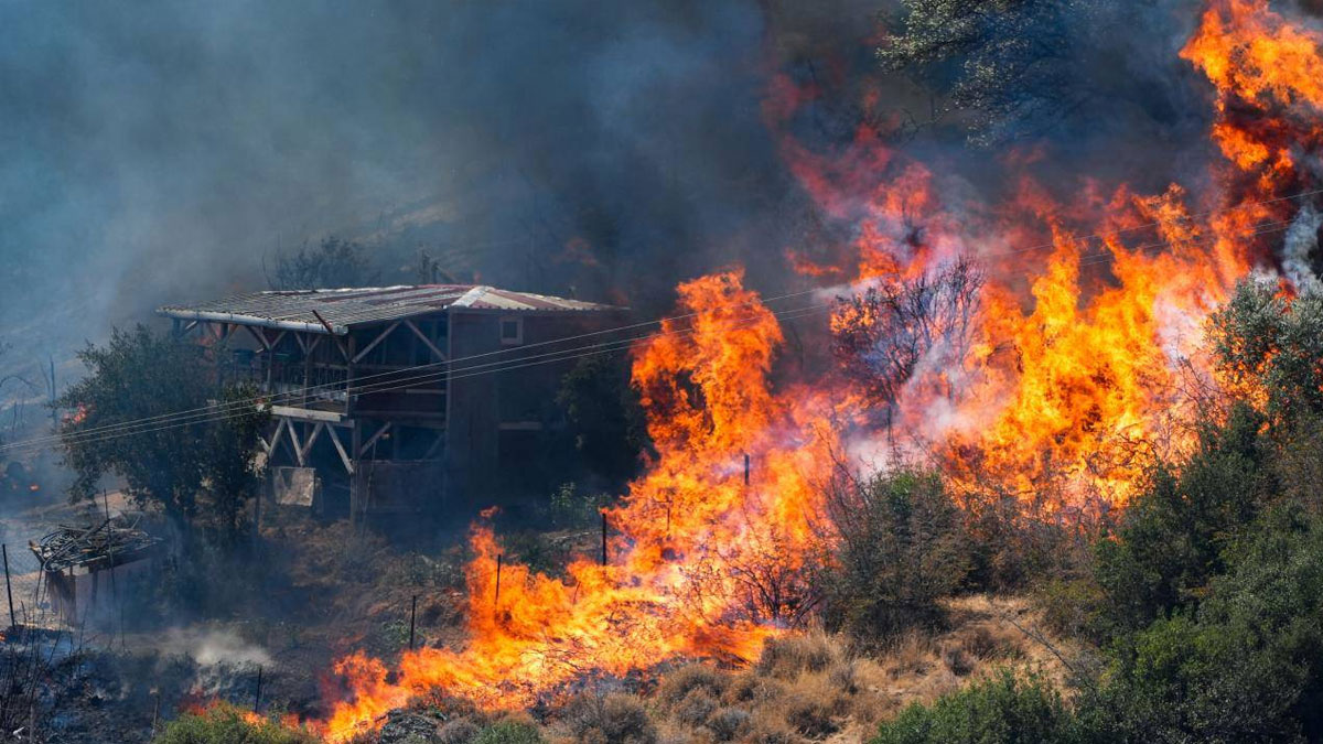 OGM: Orman yangını riski en üst seviyede