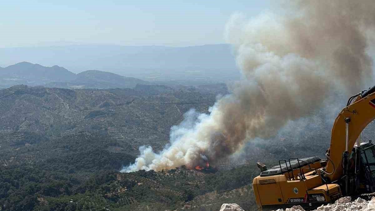 Germencik’te orman yangını