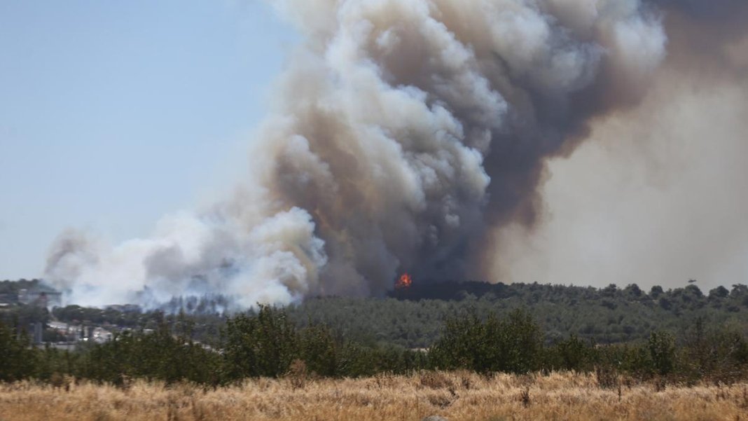 Çanakkale'de orman yangını