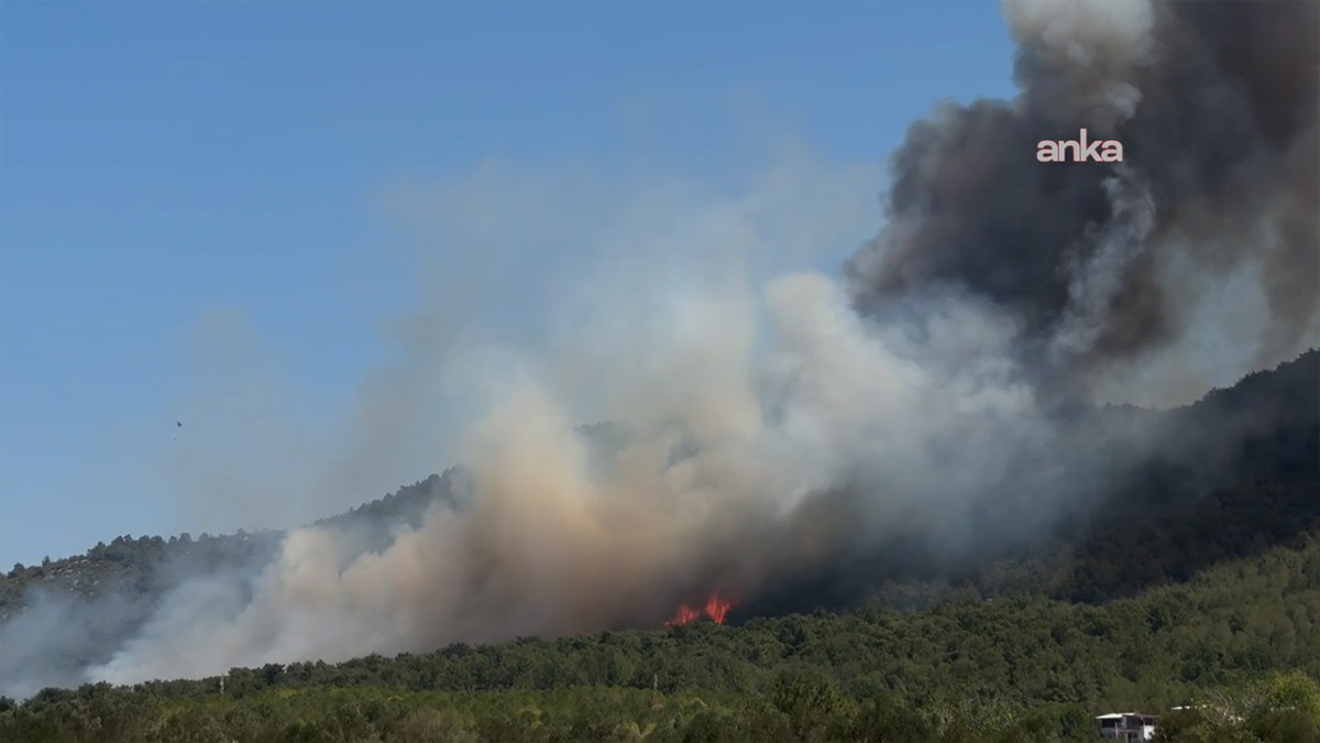 Soma'daki orman yangını yerleşim yerlerine yaklaştı