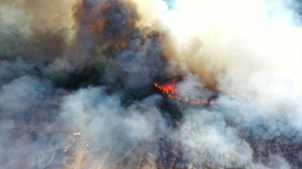Bolu'da orman yangını