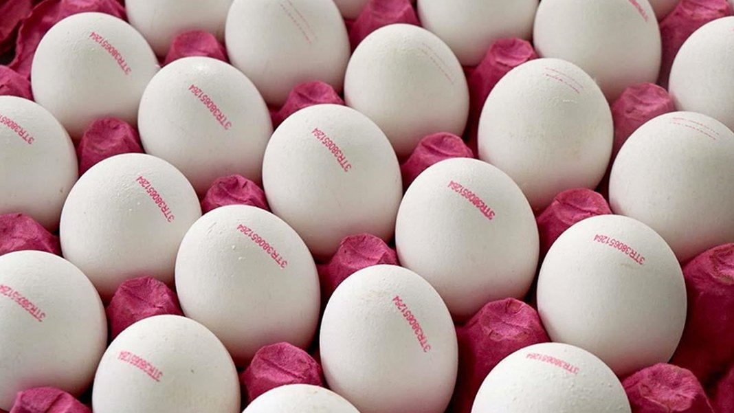 Yumurta piyasası ikiye ayrıldı: Büyüğü zamlandı, küçüğü ucuzladı