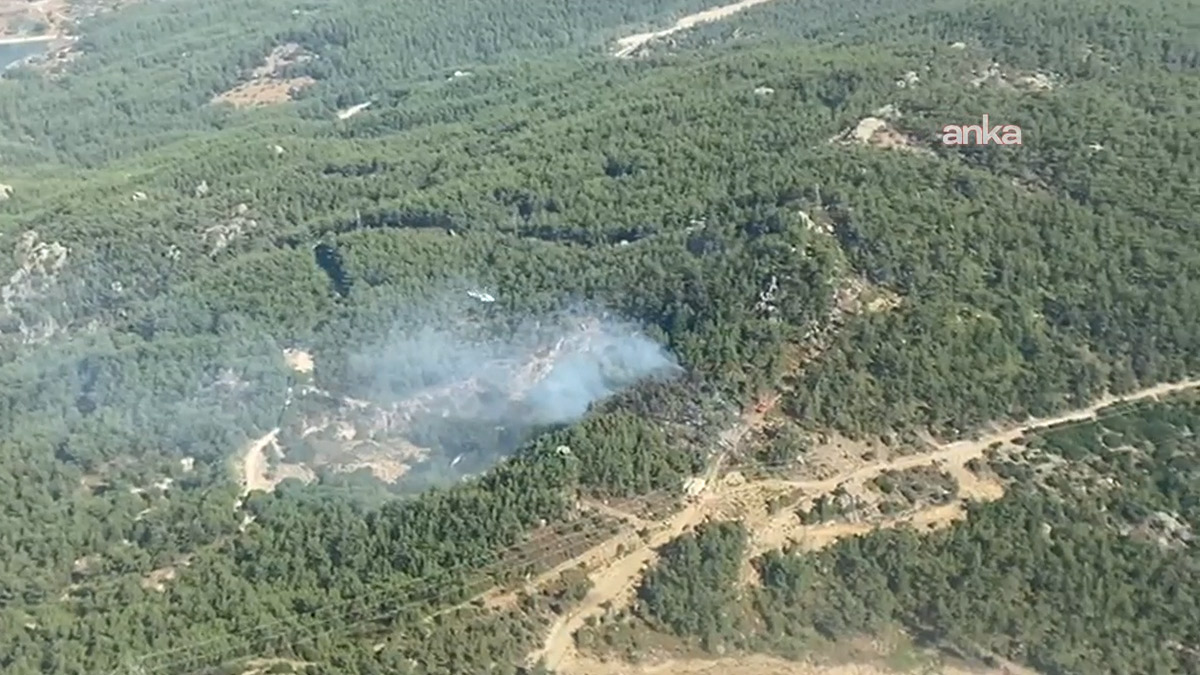 Milas'ta orman yangını