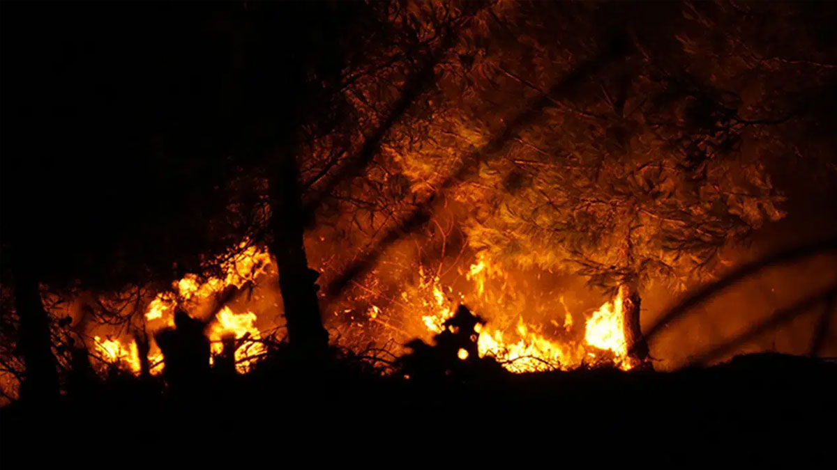 OGM: Yangınların yüzde 90'ı insan kaynaklı