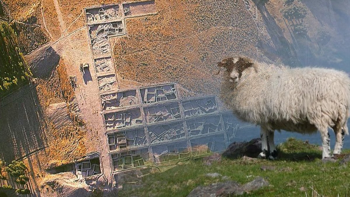 Aşıklı Höyük: Evcil Koyunların Anatomik ve Genetik Kökenine Anadolu’dan Bakış