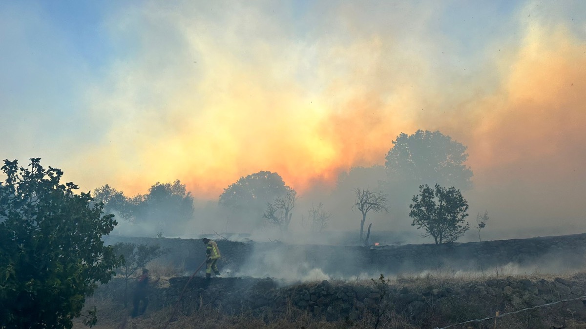 İzmir İtfaiyesi'nden Dikili’deki yangına müdahale