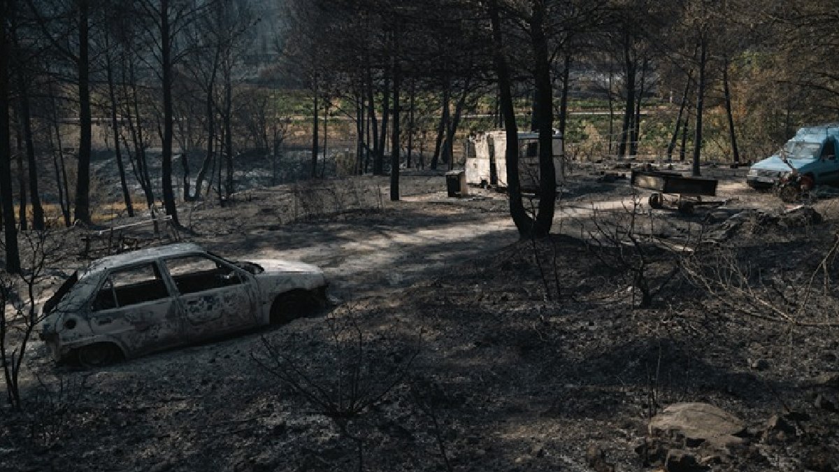 Fransa'da yangın: 200 hektardan fazla alan kül oldu