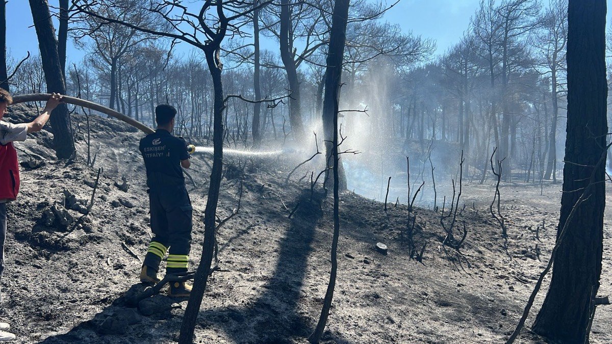 Çanakkale’deki orman yangınına Eskişehir’den destek ekipleri gönderildi