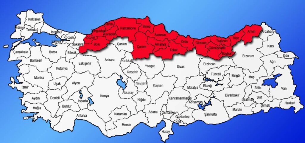 Karadeniz için "sessiz salgın" uyarısı: Kas ağrısı, baş ağrısı, halsizlik yaşıyorsanız dikkat