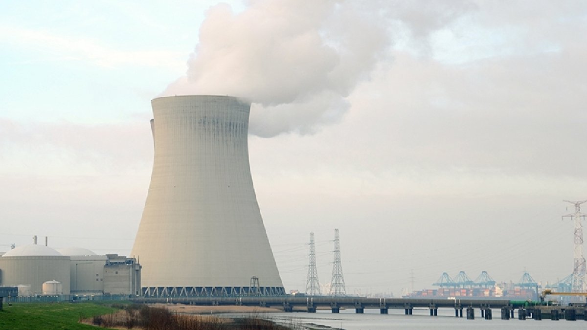 Reaktörler devre dışı: Fransa’da denizanaları nükleer santrali sardı