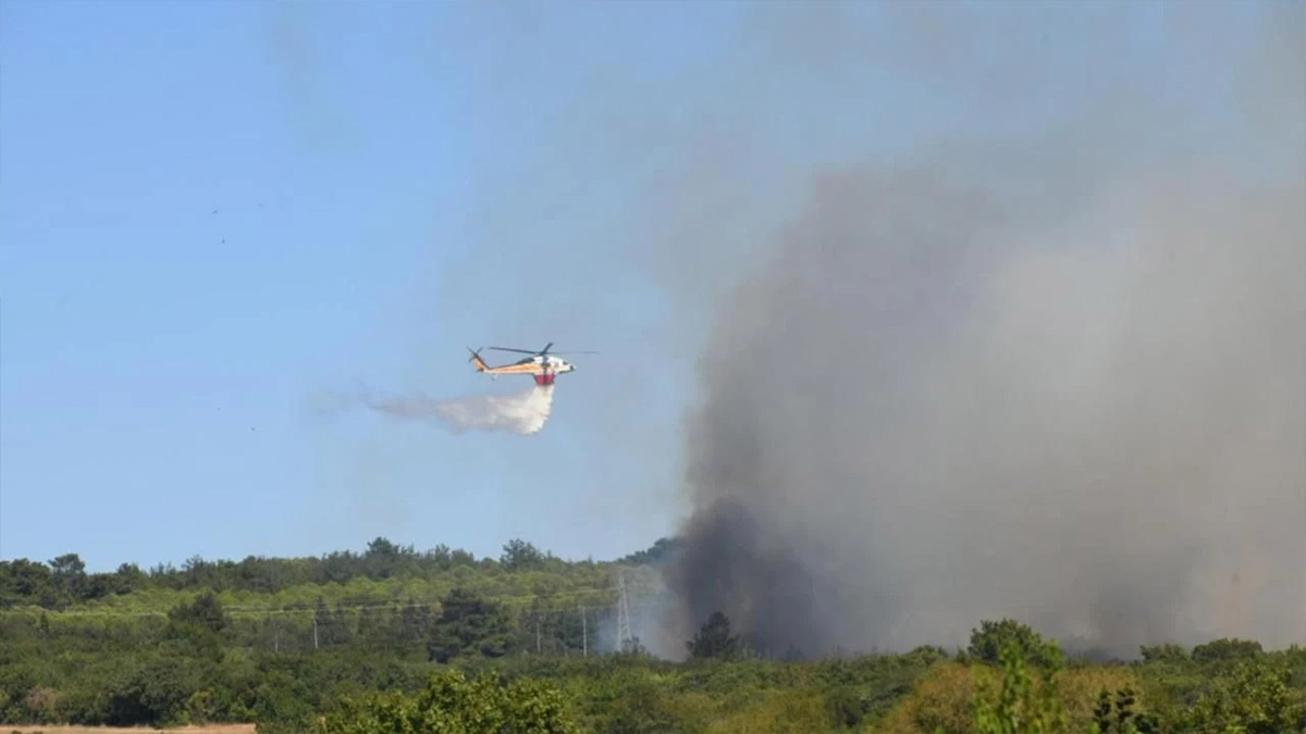 Çanakkale'deki yangın kontrol altında