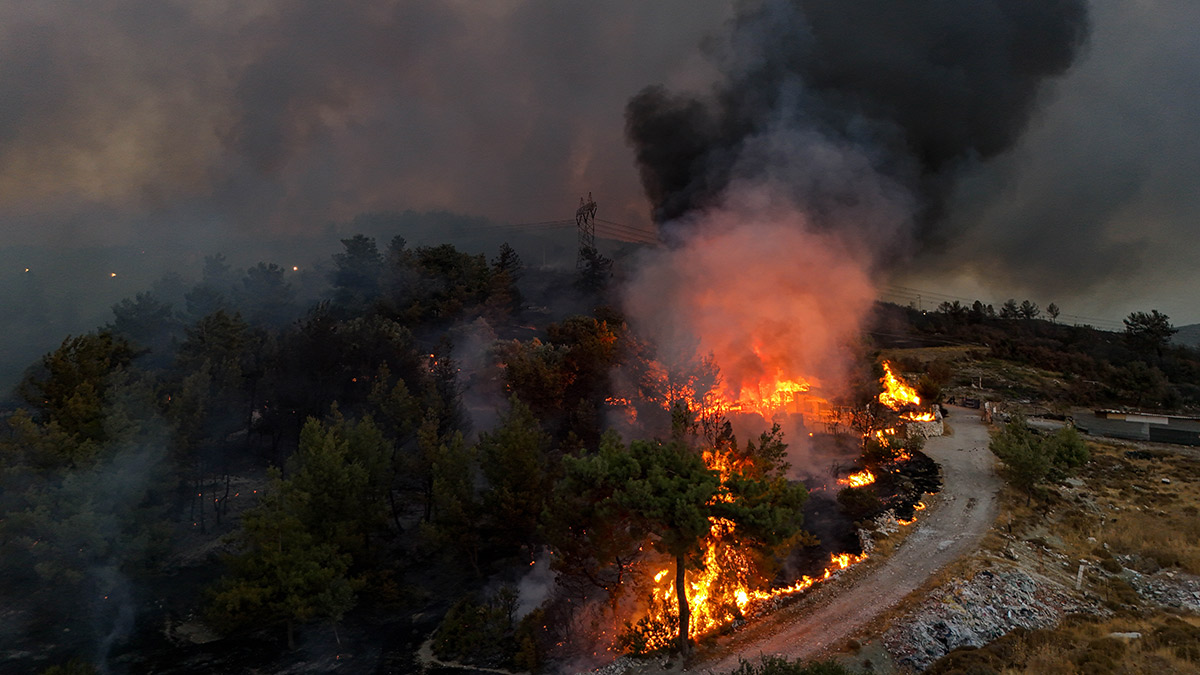 Minibüste başladı ormana sıçradı! İzmir yine yanıyor