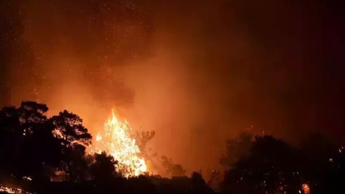 İzmir'deki orman yangını soruşturması: 3 kişi gözaltına alındı