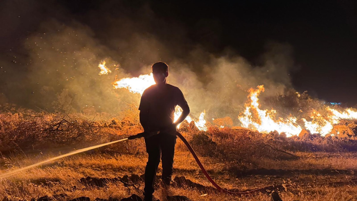 İzmir'de orman yangınlarına karşı yoğun mücadele