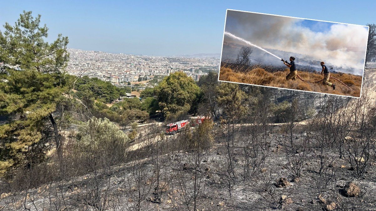 Buca ve Aliağa’daki orman yangınları kontrol altına alındı