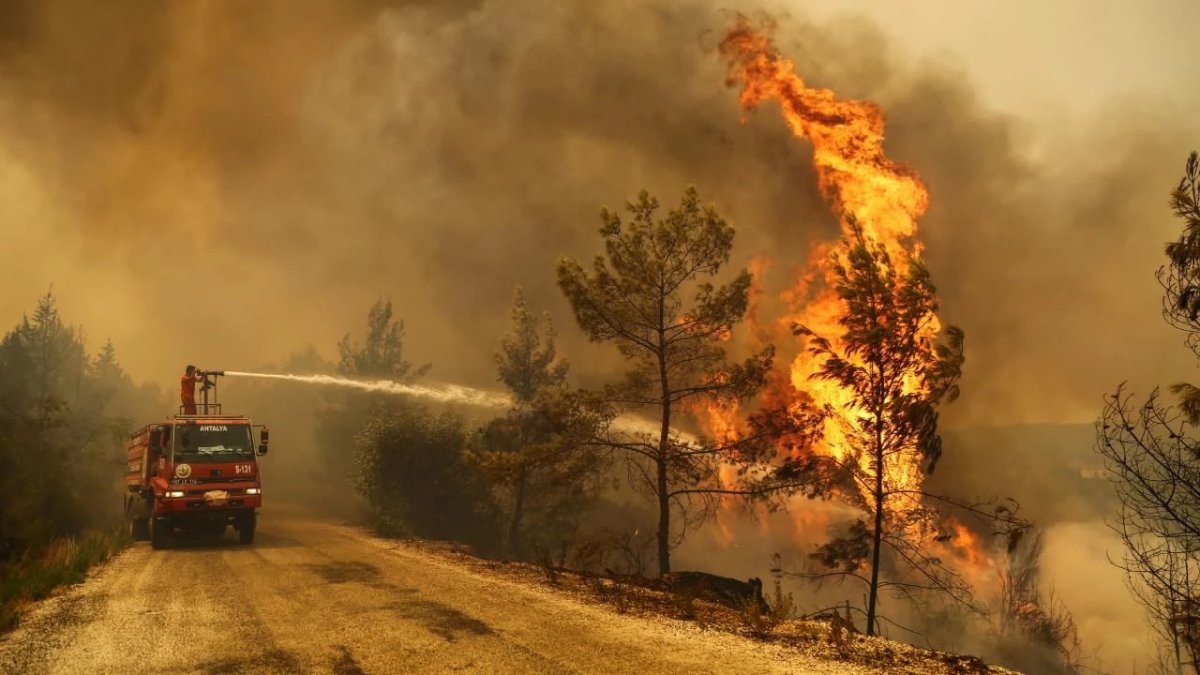 Orman yangınlarının maliyeti 25 milyar TL'yi buldu: Bu yıl 41 bin hektardan fazla alan kül oldu